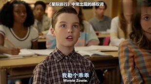 小谢尔顿在线观看,在线观看，解锁温馨家庭喜剧的魅力
