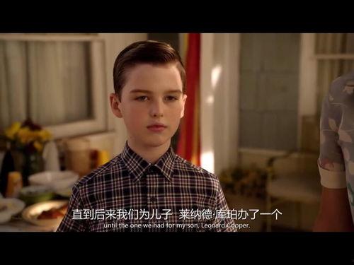 小谢尔顿在线观看,在线观看，解锁温馨家庭喜剧的魅力
