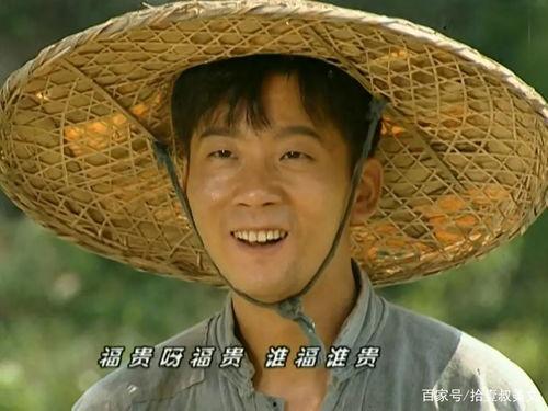 福贵电视剧在线观看,命运起伏的人生传奇