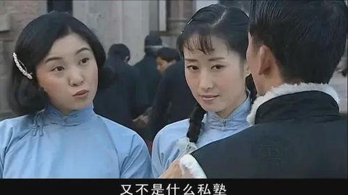 福贵电视剧在线观看,命运起伏的人生传奇