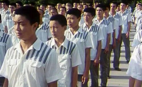 少年犯在线观看,青春迷途，救赎之路