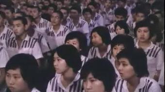 少年犯在线观看,青春迷途，救赎之路
