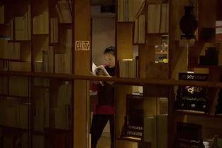 深夜书店在线观看,探寻心灵慰藉的神秘之旅