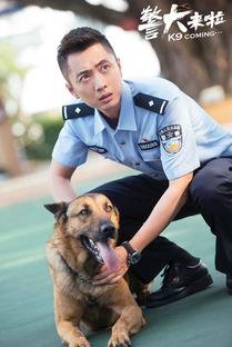 警犬来了在线观看,忠诚守护，智慧破案