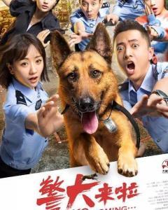 警犬来了在线观看,忠诚守护，智慧破案