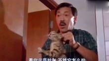 师兄撞鬼在线观看,惊悚校园夜谈录