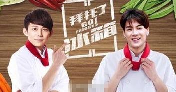 拜托了冰箱在线观看,揭秘明星私藏美食，在线观看美食盛宴