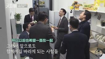 新职员在线观看,职场新人挑战与成长的精彩篇章
