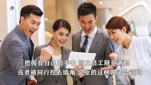 新职员在线观看,职场新人挑战与成长的精彩篇章