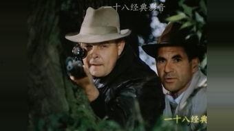 谍战剧大全在线观看,揭秘谍战剧大全在线观看的精彩世界