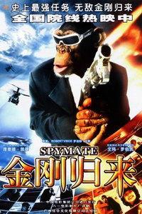 金刚在线免费观看,免费在线观影，探索巨兽传奇