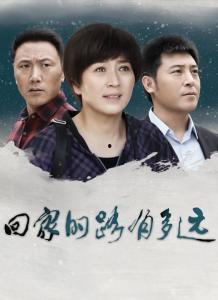 回家的路在线观看,一场穿越时光的视觉之旅