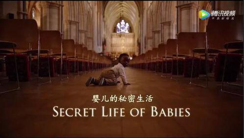 bbc纪录片在线观看,在线观看之旅，探索未知世界的奥秘