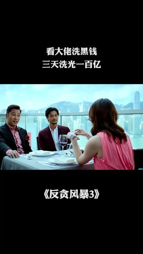 洗黑钱在线观看,在线观看追踪金融犯罪之旅