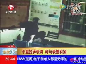 乱理在线观看,揭秘网络迷雾中的虚拟世界