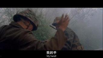 风语者在线观看,揭秘神秘风语者，探寻古老文化的传承之谜