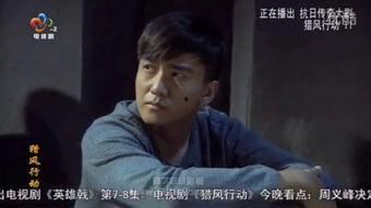 潜行者在线观看全集,揭秘暗网世界的惊险之旅