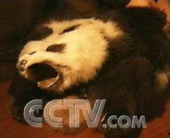 皮毛在线观看,揭秘时尚界背后的秘密