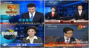 中央台直播在线观看,实时掌握国家动态，尽享精彩瞬间